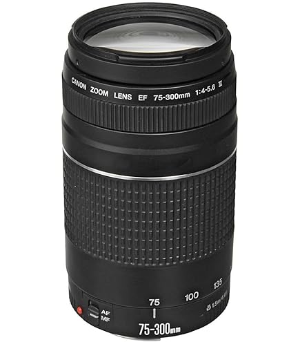 Amazon.com : Canon 75-300mm F4-5.6 III EF Lens (Non-USM) : Camera