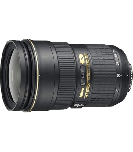 Amazon.com : Nikon AF-S NIKKOR 14-24mm f/2.8G ED (Renewed