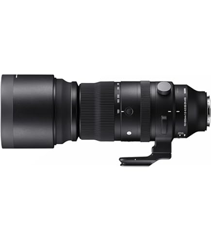 Amazon.com : Sigma 50-500mm f/4.5-6.3 APO DG OS HSM SLD Ultra