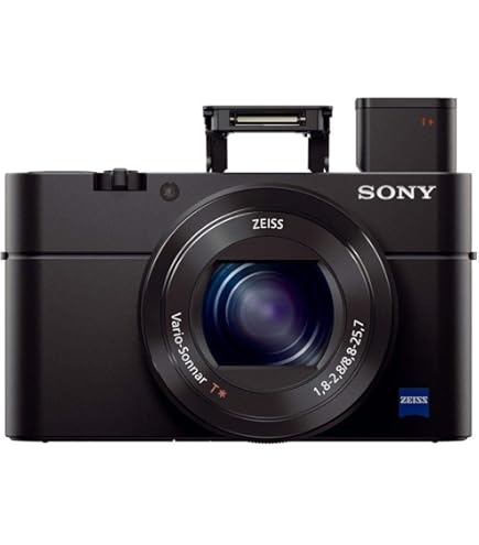 Amazon.com : Sony RX100 IV 20.1 MP Premium Compact Digital Camera