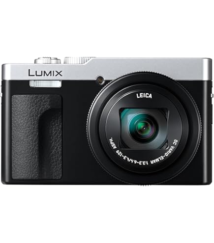 Amazon.com : Panasonic LUMIX ZS99 Point and Shoot Camera, Compact