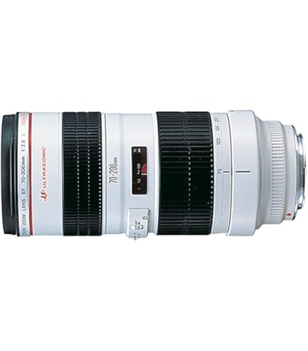 Amazon.com : Tamron A025C SP 70-200mm F/2.8 Di VC USD G2 for Canon