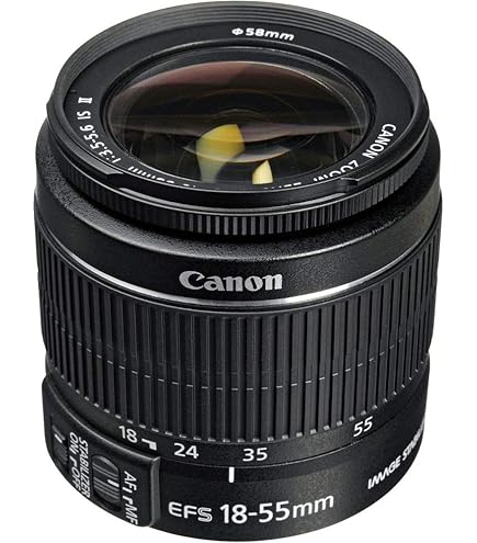 Amazon.com : Tamron AF 11-18mm f/4.5-5.6 Di-II SP LD Aspherical