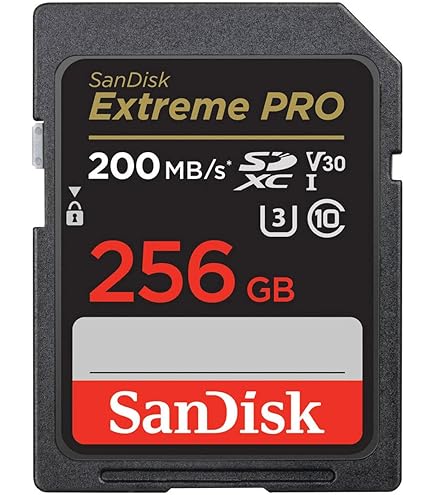 Amazon.com: SanDisk Extreme Pro 256GB SD Card for Nikon Camera