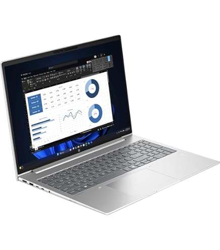 Amazon.com: HP ProBook 460 G11 16