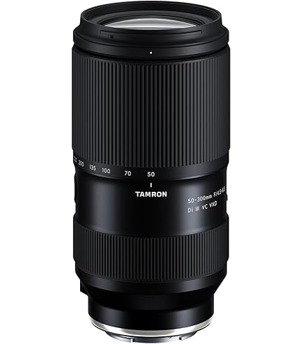 Amazon.com : Tamron 28-300mm F/4-7.1 Di III VC VXD for Sony E