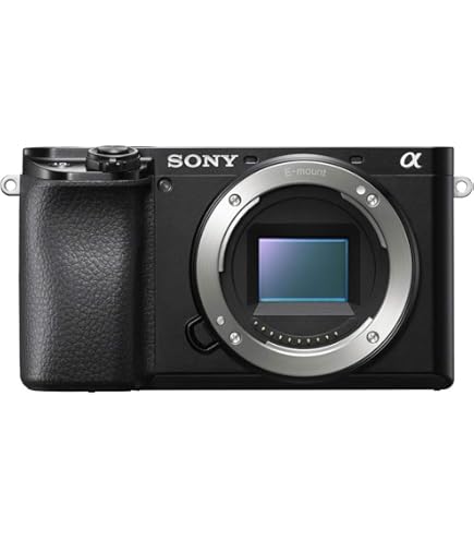Amazon.com : Sony A6000 Interchangeable Lens Digital Camera with