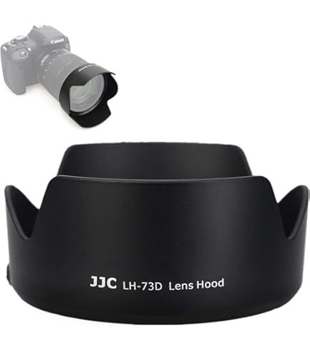 Amazon.com : Canon RF28-70mm F2.8 is STM (Renewed) : Electronics