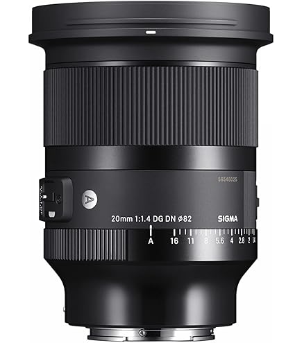 Amazon.com : 24mm F1.4 Art DG DN for Sony E Mount : Electronics