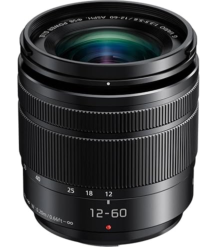 Amazon.com : Panasonic 14-140mm f/4.0-5.8 OIS Video Optimized