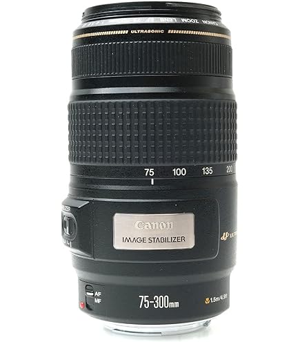 Canon EF 75-300mm f/4-5.6 III USM Telephoto Zoom Lens (6472A002