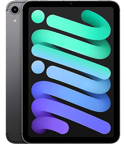 Amazon.com : Apple iPad Mini (Wi-Fi + Cellular, 256GB) - Space
