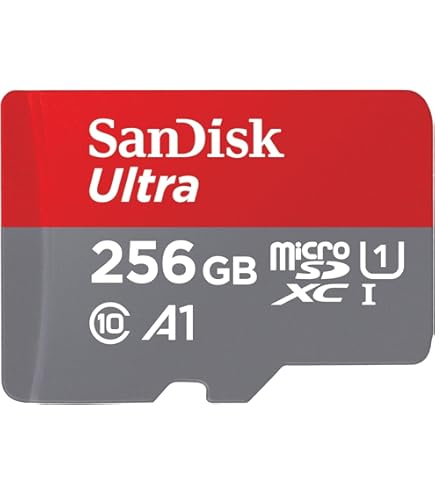 Amazon.com: SanDisk 256GB Extreme microSDXC UHS-I Memory Card with