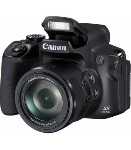 Amazon.com : Canon PowerShot SX70 HS Digital Camera (3071C001) + 2