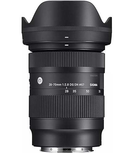 Amazon.com : Sigma 28-70mm F2.8 DG DN for Sony E Black : Electronics
