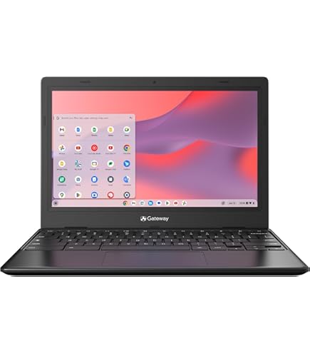 Amazon.com: acer Gateway Chromebook 311 CBO311-1H-C1MX Laptop