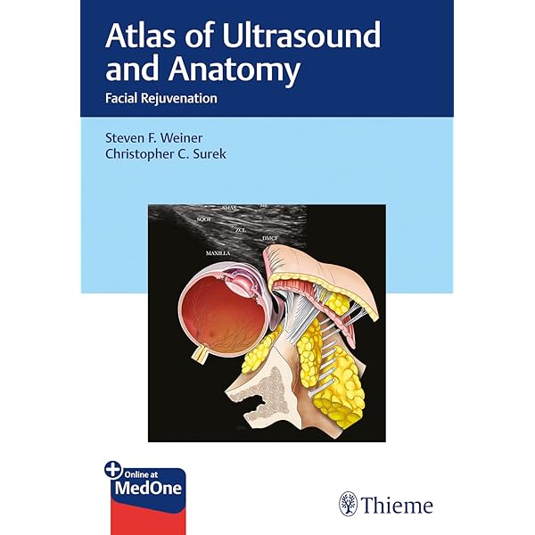 Imaging Anatomy: Text and Atlas Volume 1, Lungs, Mediastinum, and
