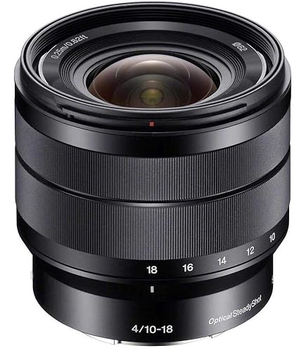 Amazon.com : Sony SEL1670Z Vario-Tessar T E 16-70mm F4 ZA OSS