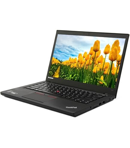 Amazon.com: Lenovo ThinkPad T470s Laptop with Intel Core i5-7200U