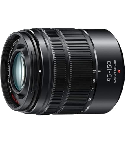 Amazon.com : Panasonic LUMIX G VARIO 100-300mm F4.0-5.6 MEGA O.I.S