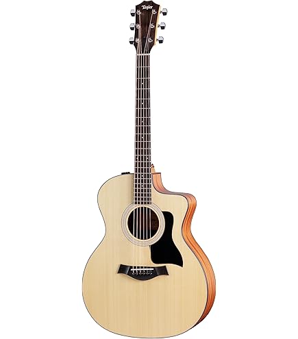 Amazon.com: Taylor GS Mini-e Rosewood Plus Acoustic-electric