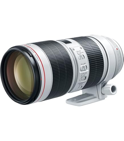 Amazon.com : Canon EF 70-200mm f2.8 L is III USM Telephoto Lens