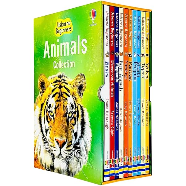 Usborne Beginners Series Science Collection 10 Books Box Set