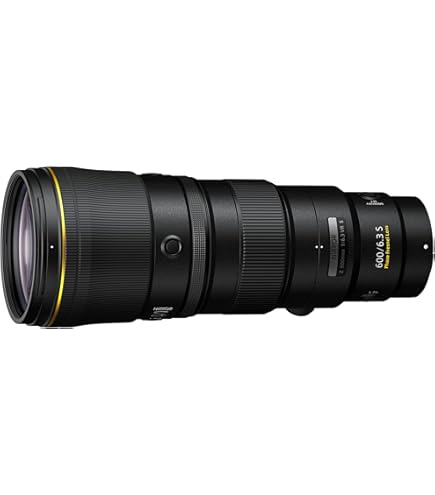 Amazon.com : Nikon NIKKOR Z 800mm f/6.3 VR S : Electronics