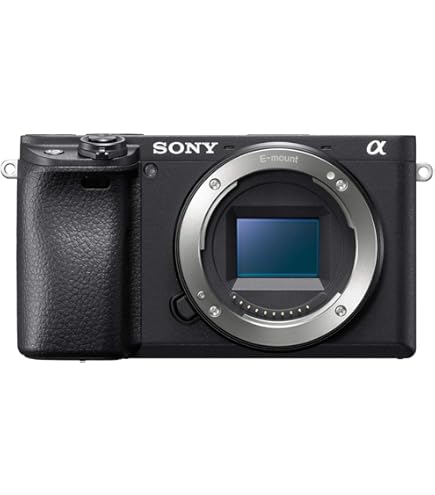Amazon.com : Sony Alpha a6400 Mirrorless Camera + Sony SEL35F18