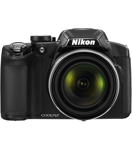 Amazon.com : Nikon Coolpix P100 10 MP Digital Camera with 26x