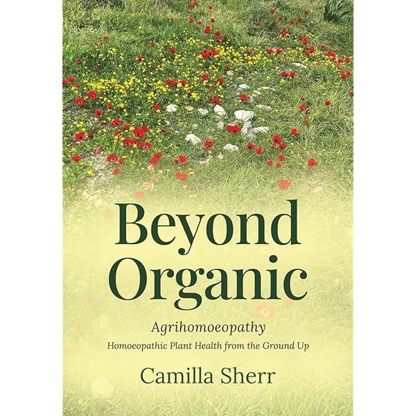 Plant Roots: The Hidden Half (Books in Soils, Plants, and the