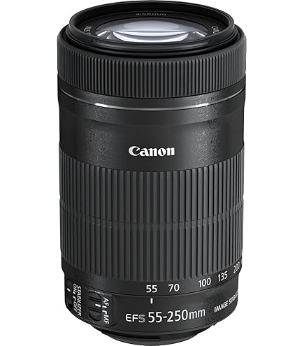 Amazon.com : Canon EF-S 55-250mm F4-5.6 is STM, Telephoto, Black