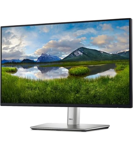 Amazon.com: Dell E2422HS 23.8