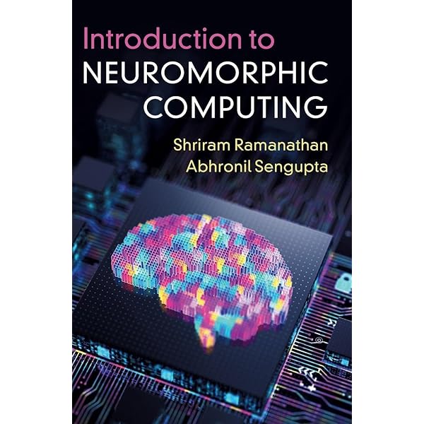 Neuromorphic Computing Principles and Organization: Ben Abdallah