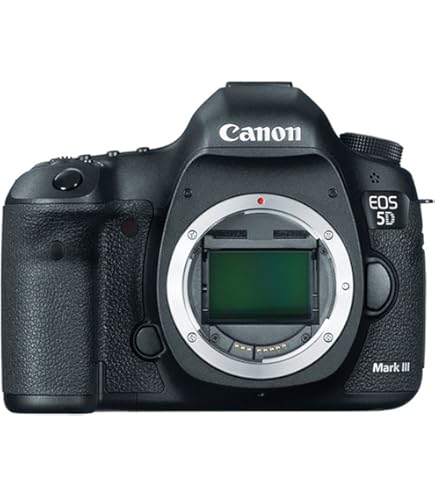 Amazon.com : Canon EOS 6D Mark II Digital SLR Camera Body (Renewed