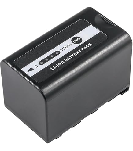 Amazon.com: Digital Nc Ultra High Capacity 'Intelligent' Lithium