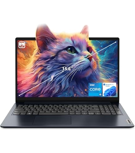Amazon.com: Lenovo IdeaPad 15.6
