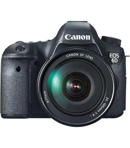 3,909ショット！ Canon EOS 6D Wi-Fi キャノン #8884 3,909ショット