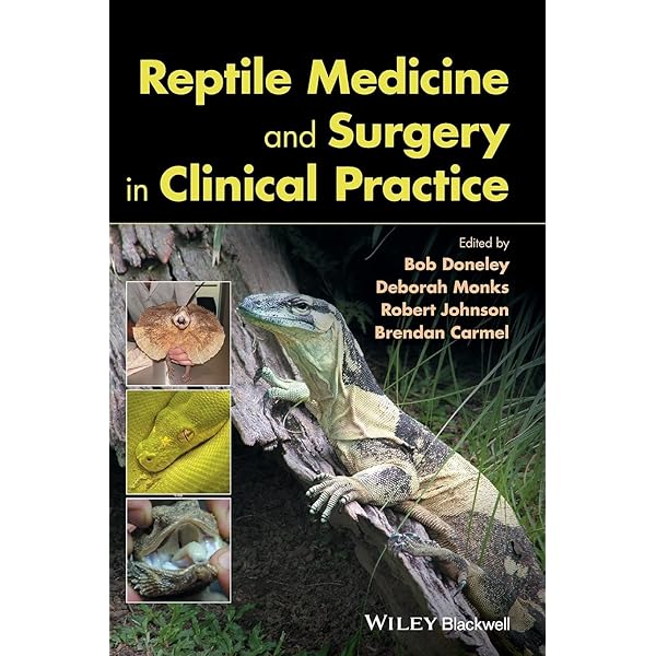 Reptile Medicine and Surgery: 9780721693279: Medicine & Health