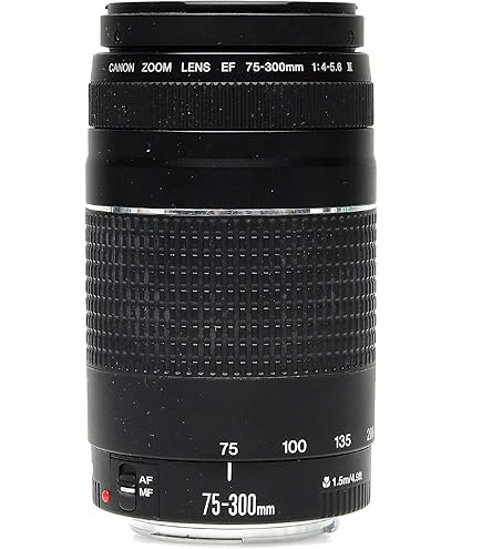 Amazon.com : Canon EF 75-300mm f/4-5.6 III Telephoto Zoom Lens for