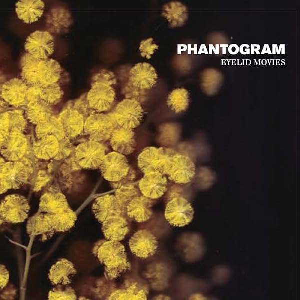 Phantogram - Voices[2 LP] - Amazon.com Music