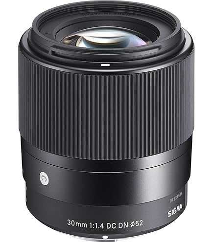 Amazon.com : Sigma 30mm F1.4 Contemporary DC DN Lens for Sony E