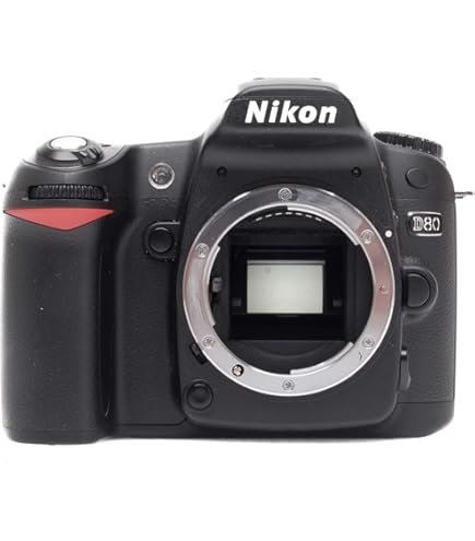 Amazon.com : Nikon D80 10.2MP Digital SLR Camera Kit with 18-55mm