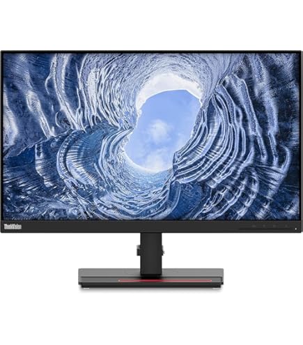 Amazon.com: Lenovo ThinkVision T24i-20 24