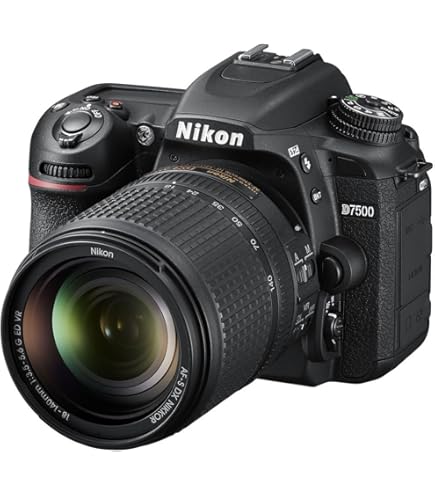 Amazon.com : Nikon D5600 DSLR Camera with 18-55mm Lens (1576) + 4K