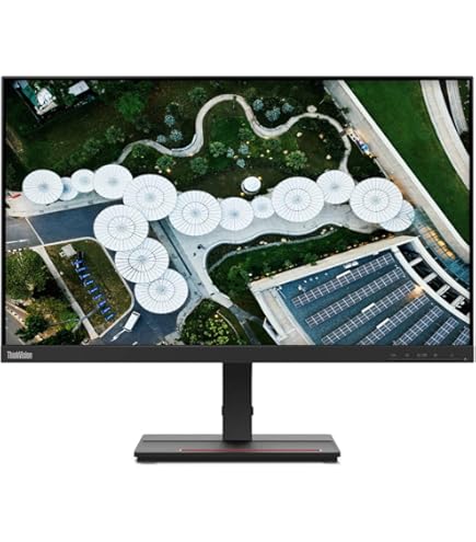 Amazon.com: Lenovo ThinkVision T24i-20 24