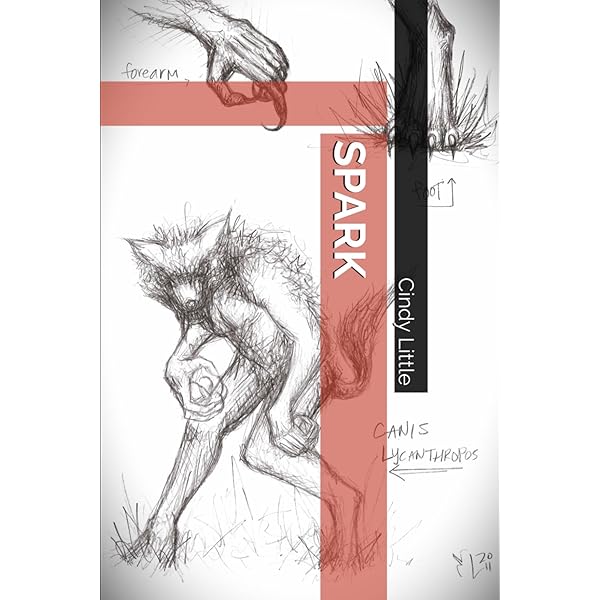 Amazon.com: Border Break Artworks 2006 - 2012: 9781927925270: Sega