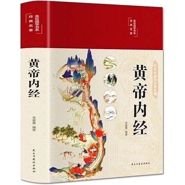 Amazon.com: 黄帝内経霊枢訳注(3巻セット): 9784752960553: LINGKU: Books