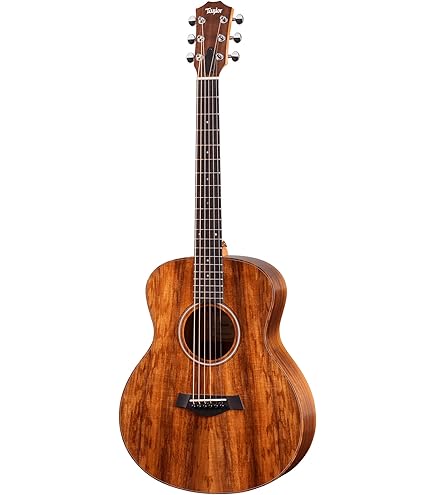Amazon.com: Taylor GS Mini-e Special Edition Acoustic-electric