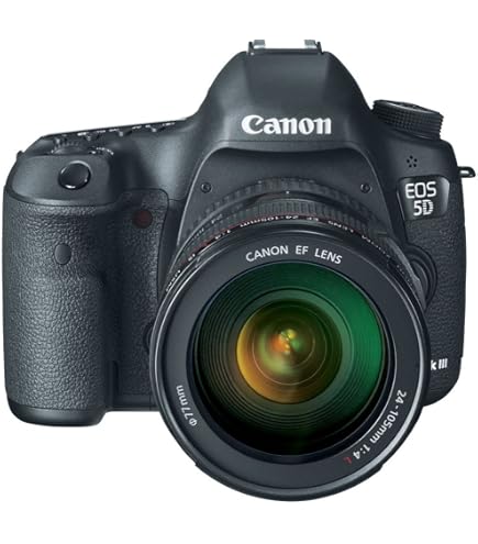 Amazon.com : Canon EOS 5D Mark III 22.3 MP Full Frame CMOS Digital
